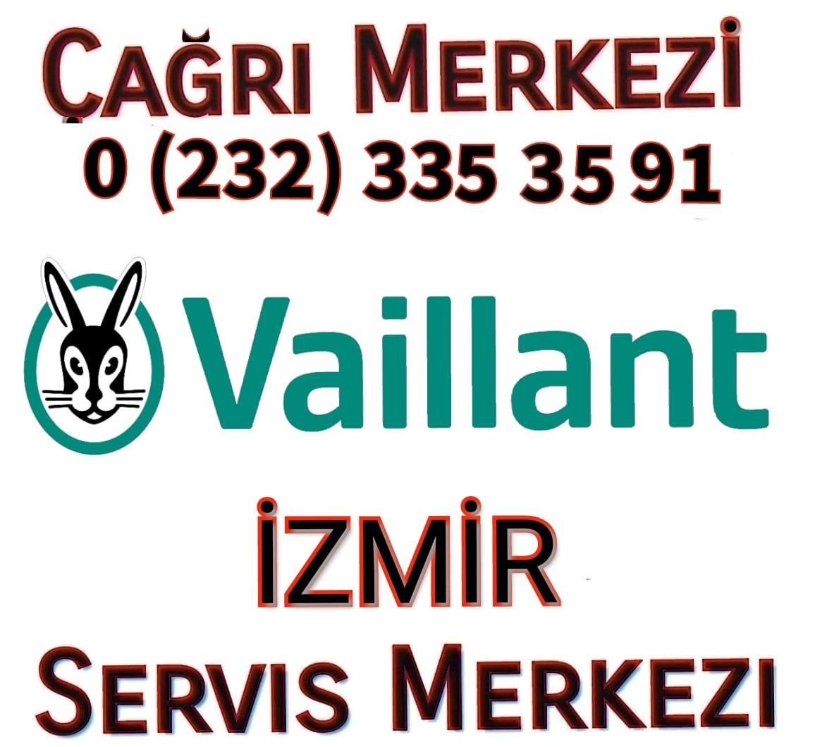 İzmir  Vaillant Kombi Klima Servisi